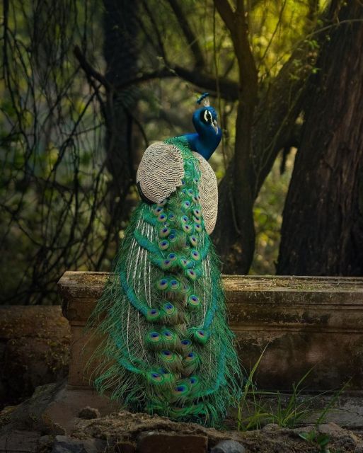 Skip The Line : Nahargarh Biological Park Tour, Jaipur - Nearby Attractions