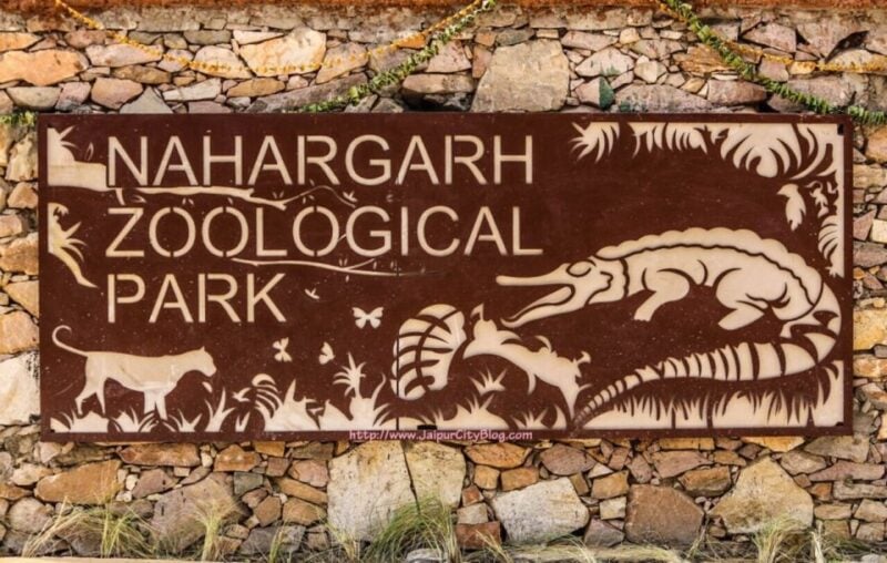 Skip The Line : Nahargarh Biological Park Tour, Jaipur - Wildlife Conservation and Education