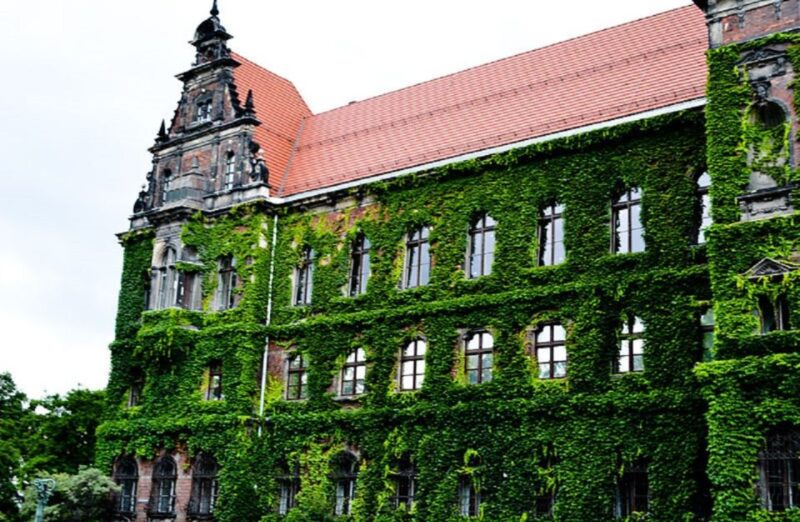 Skip-the-line National Museum and Old Town Private Tour - Tour Options