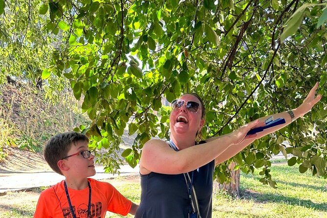 Skip the Line Pompeii Tour For Kids and Families - Accessibility and Participation
