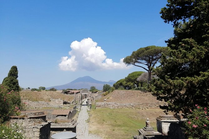 Skip-The-Line Pompeii & Volcano Vesuvius Day Tour W Hotel or Port Pickup - Itinerary Details