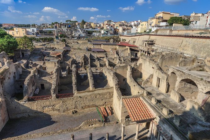 Skip the Line Private Pompeii and Herculaneum Tour With Local Guide - Traveler Reviews and Recommendations