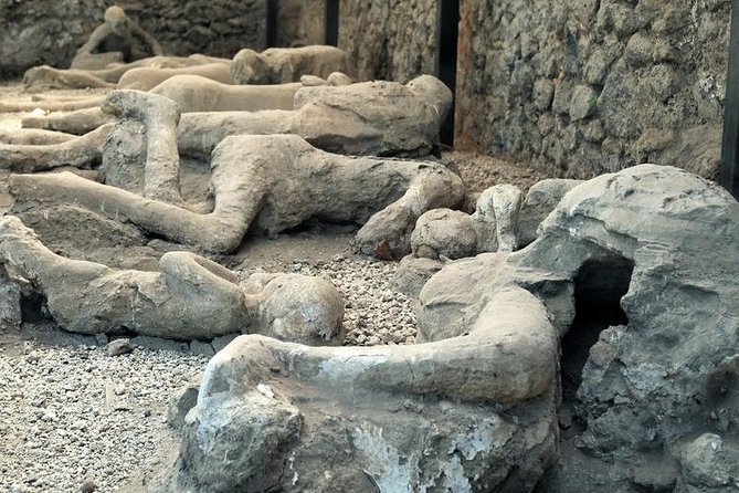 Skip the Line Private Pompeii Guided Tour - Time Slot Options