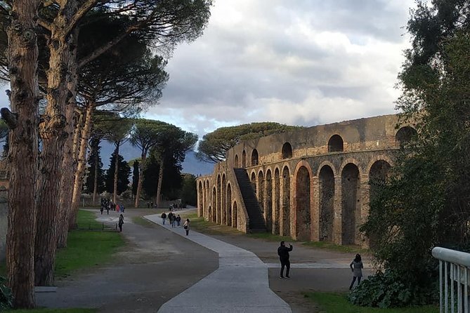 Skip the Line Private Pompeii Guided Tour - Tour Inclusions