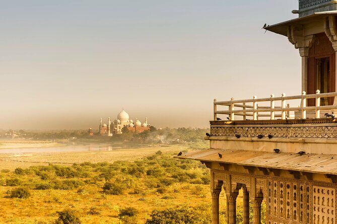 Skip-the-Line Private Tour to Taj Mahal and Agra Fort - Authentic opinions from travelers