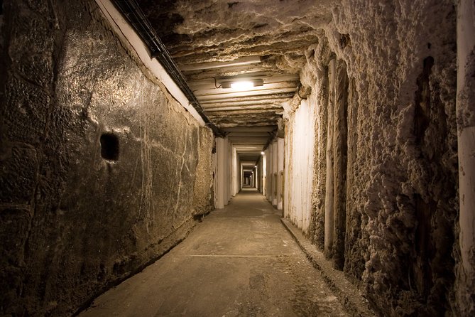 SKIP the Line: Private Wieliczka Salt Mine Guided Tour From Kraków - Tour Reviews