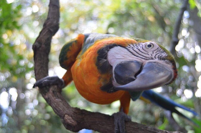 Skip the Line: Rescate Wildlife Rescue Centre General Admission Ticket - Visitor Experience and Amenities