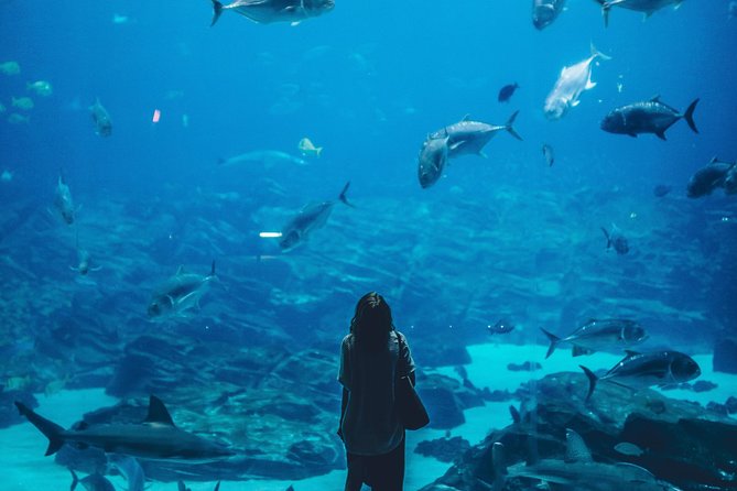 Skip the Line : S.E.A. Aquarium One Day Ticket Only - Included Amenities