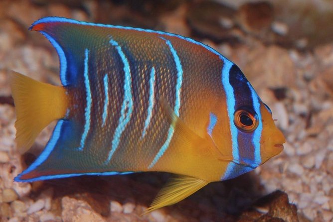 Skip the Line: Santa Marta Marine World Aquarium Admission Ticket and Guide - Overview of the Aquarium Experience