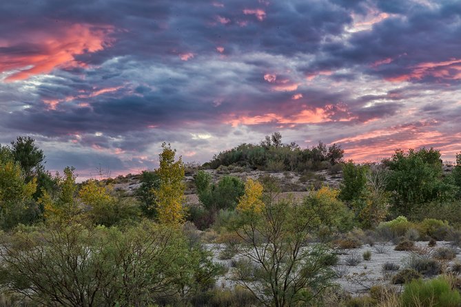 Skip the Line: Springs Preserve in Las Vegas Admission Ticket - Cancellation and Refund Policy