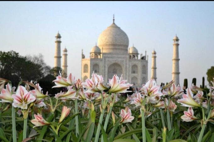 Skip The Line Tajmahal & Agra Fort Tours - Frequently Asked Questions