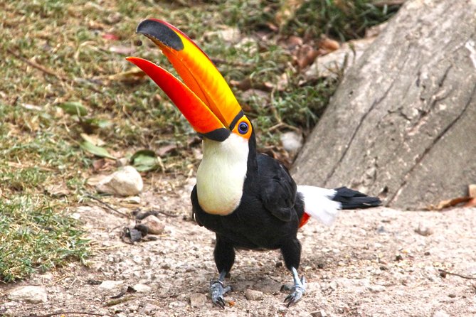 Skip the Line: Terra Natura Benidorm Entrance Ticket - Ticket Pricing and Booking Options