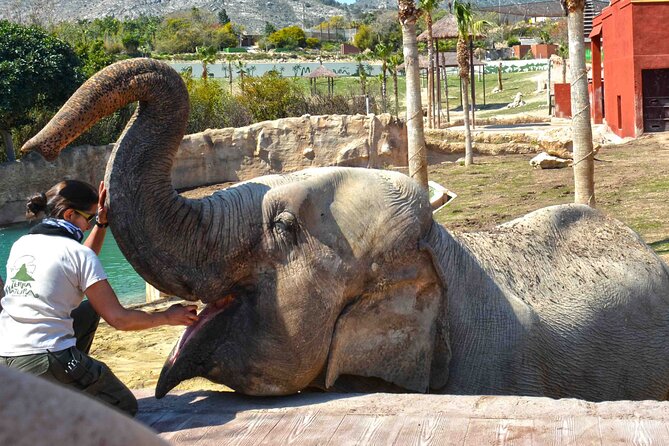 Skip the Line: Terra Natura Benidorm Entrance Ticket - Personalized Guided Tour Experiences