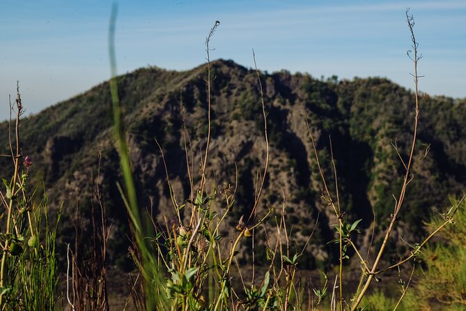 Skip the Line Ticket for Mount Vesuvius - Questions About Staying Here