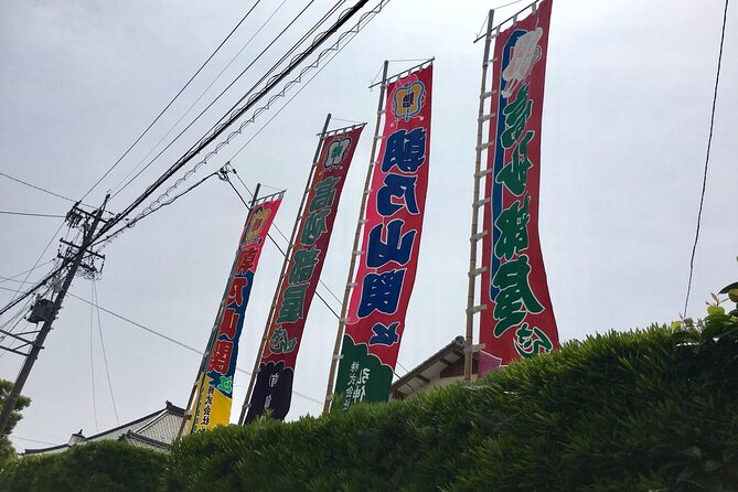 Skip the Line Ticket to Sumo Morning Practice at Nagoya - Accessibility