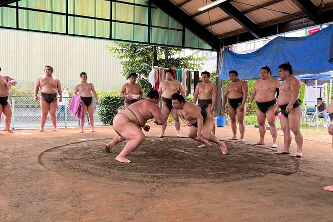 Skip the Line Ticket to Sumo Morning Practice at Nagoya - Location: Aichi Prefecture, Japan