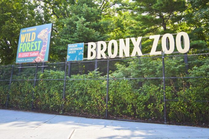Skip-The-Line Tickets to Bronx Zoo With Private Transfers - Meet the Animals