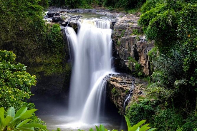 Skip-the-Line: Ubud Tour - All Inclusive Tickets - Booking and Cancellation Policy