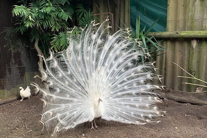 Skip the Line: World of Birds Admission Ticket - Group Policies