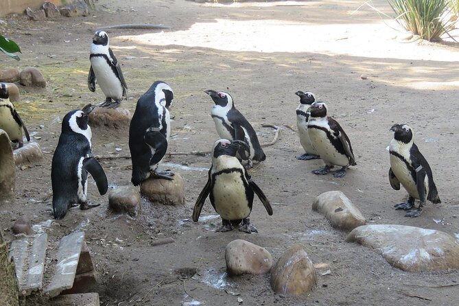 Skip the Line: World of Birds Admission Ticket - Getting to the Attraction
