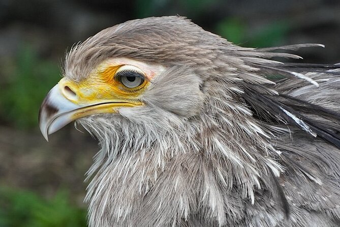 Skip the Line: World of Birds Admission Ticket - Why Visit World of Birds