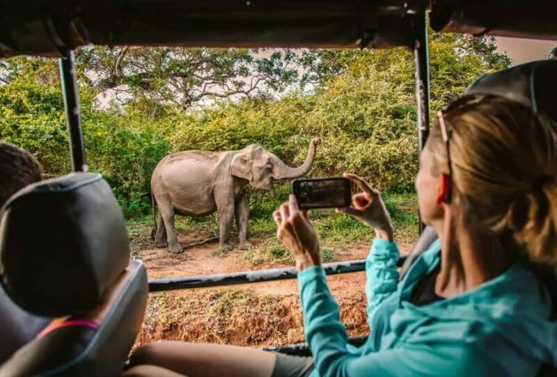 SKIP THE LINE - YALA SAFARI TOUR - Incl. ENTRY TICKETS - The Value for Money