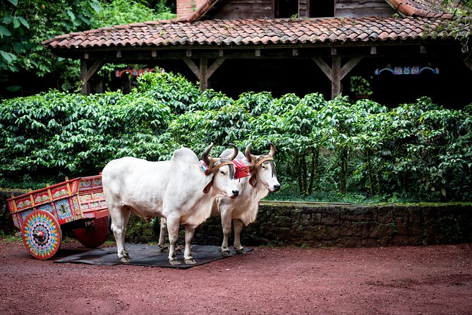 Skip the Line:Day Ticket-La Paz Waterfall Gardens Nature Park & Wildlife Refuge - Visitor Amenities