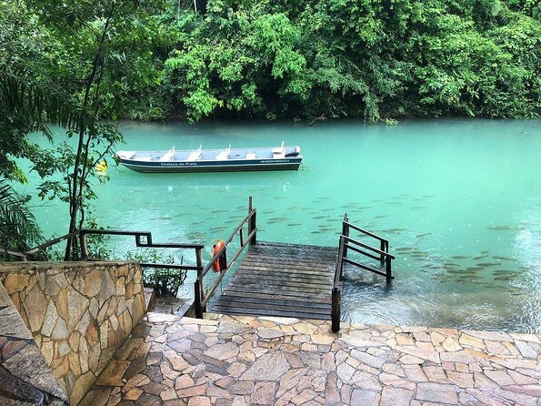 Skip the Line:Recanto Ecologico Rio Da Prata Ticket Including Trail & Snorkeling - Health and Safety Restrictions