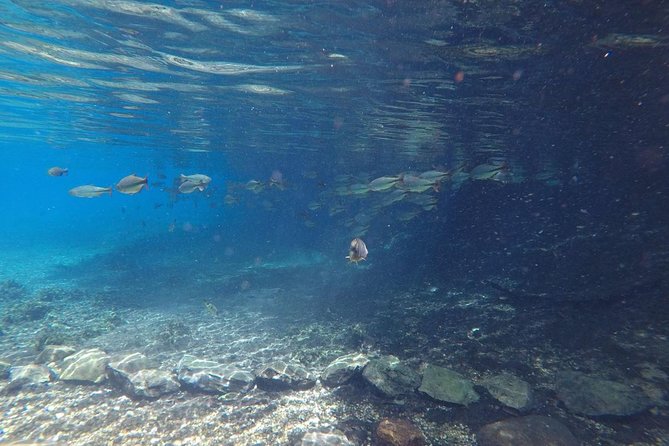Skip the Line:Recanto Ecologico Rio Da Prata Ticket Including Trail & Snorkeling - Booking Information