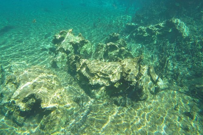 Skip the Line:Recanto Ecologico Rio Da Prata Ticket Including Trail & Snorkeling - Snorkeling in Rio Da Prata