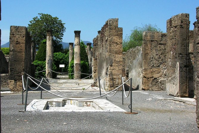 Skip-The-Lines Private Tour of Pompeii Including the Theatre the Forum and All Highlights - Additional Information