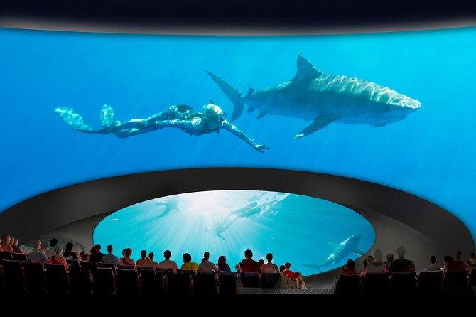 Skip the Ticketing Line: Aquarium of the Pacific General Admission Ticket - Transportation and Parking