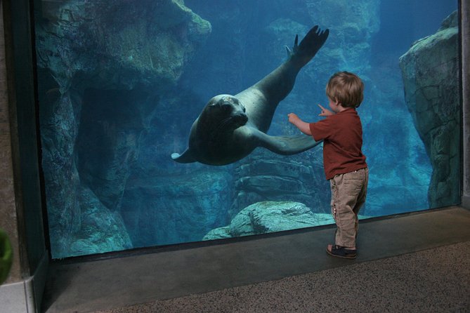 Skip the Ticketing Line: Aquarium of the Pacific General Admission Ticket - Cancellation Policy