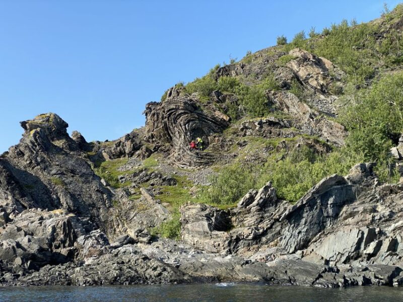 Skjervøy: Birds and Wildlife of Arctic Norway - Cultural Immersion