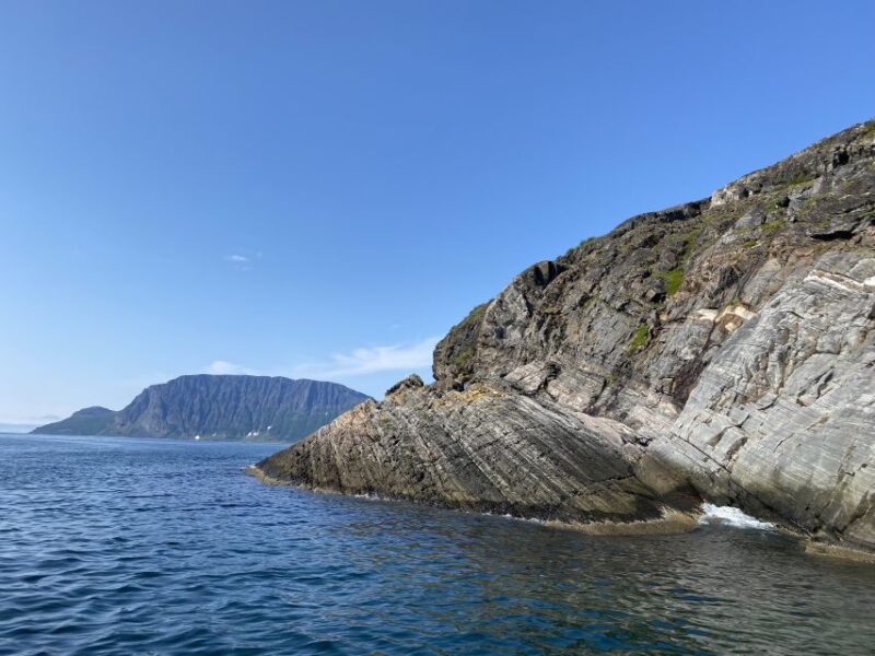 Skjervøy: Birds and Wildlife of Arctic Norway - Seasonal Variations