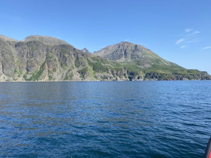 Skjervøy: Birds and Wildlife of Arctic Norway - Meeting and Departure