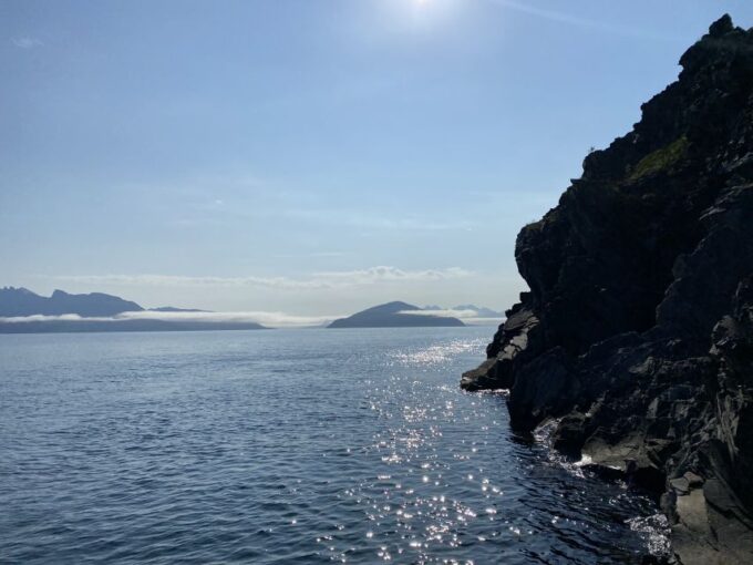 Skjervøy: Birds and Wildlife of Arctic Norway - What to Expect