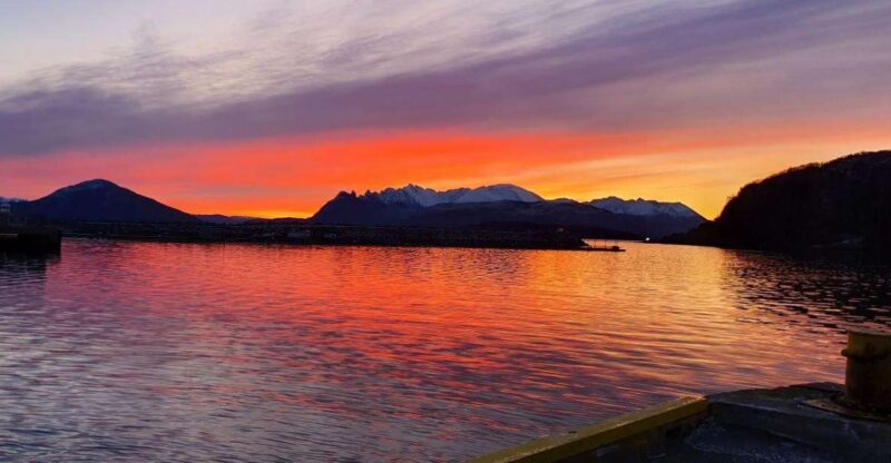 Skjervøy: Fjord Charter Adventure - Cancellation and Payment