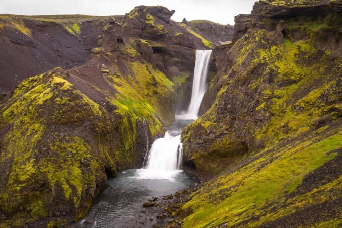 Skogafoss: Fimmvörðuháls Pass Hiking Tour to Thorsmork Valley - Diverse Landscapes and Wildlife