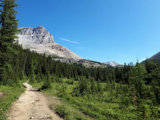 Skoki Lake Louise Daily Guided Hike in the Canadian Rockies - How to Book