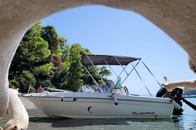 Skopelos Boat Hire / Private Boat Trips - Accessibility and Participation