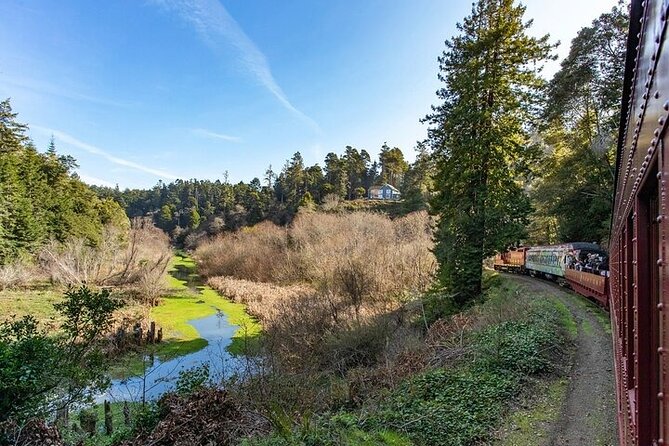 Skunk Train: Wolf Tree Turn From Willits - Accessibility and Suitability