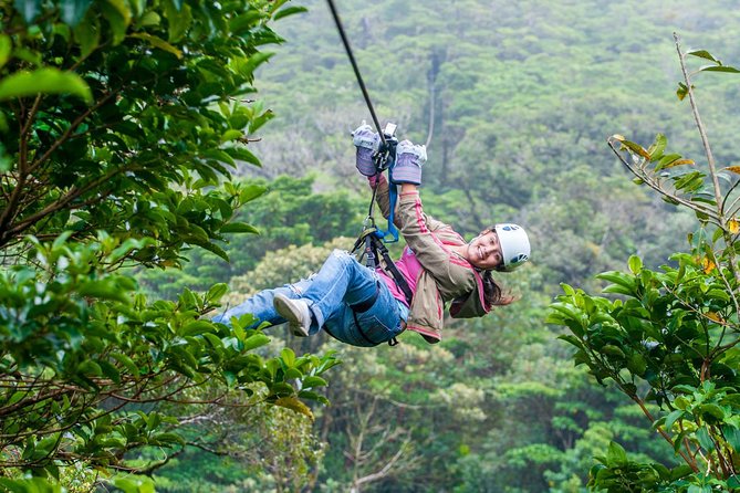 Sky Adventures Arenal : Zipline - Sky Tram & Sky Walk (guided) - Key Points