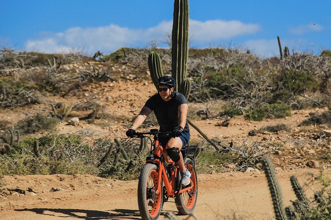 Sky Bikes Beach & Desert Tour in Cabo by Cactus Tours Park - Accessibility Features