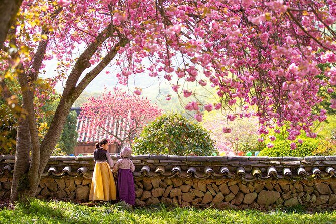 Sky Capsule with Cherry Blossom & Spring Flowers Tour from Busan - Exploring the Sky Capsule with Cherry Blossom & Spring Flowers Tour from Busan