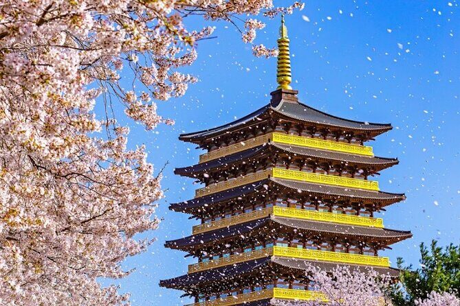 Sky Capsule with Cherry Blossom & Spring Flowers Tour from Busan - Key Points
