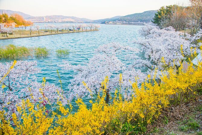 Sky Capsule with Cherry Blossom & Spring Flowers Tour from Busan - FAQ