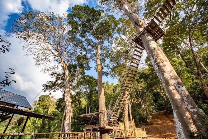 Sky Hawk Zipline Experience in Chiang Mai - Highlights of the Adventure