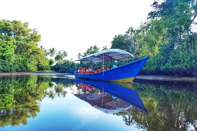 Sky-Mirror Photographing and Proboscis Monkey & Fireflies Watching River-Cruise - Key Points