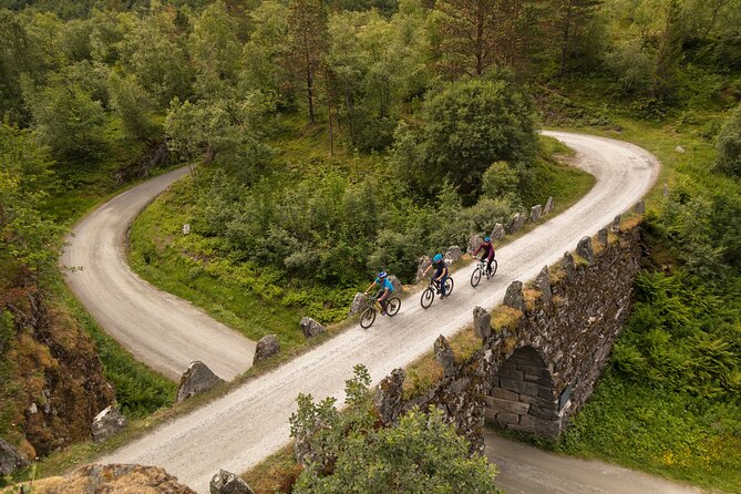 Sky to Fjord Geiranger Downhill Biking Adventure - Breathtaking Scenery and Landscapes